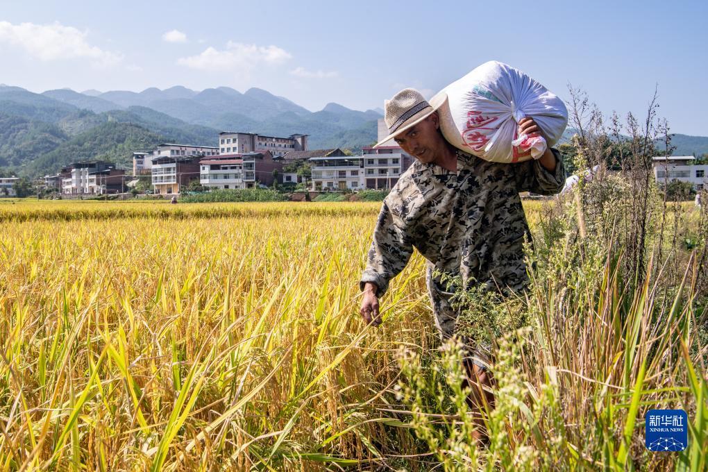 大发注册送38体验金